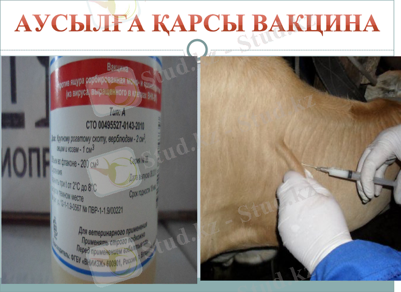 Slide 12