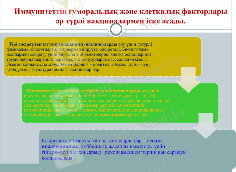 Slide 8