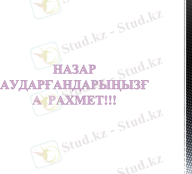 Slide 13
