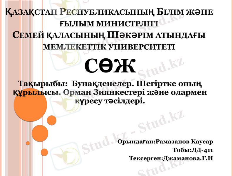 Slide 1