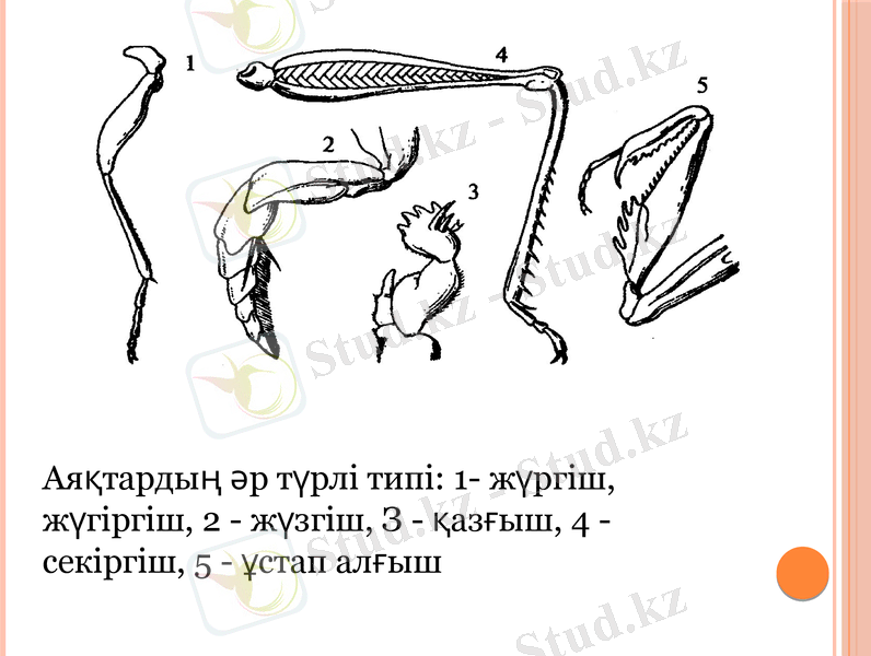 Slide 10