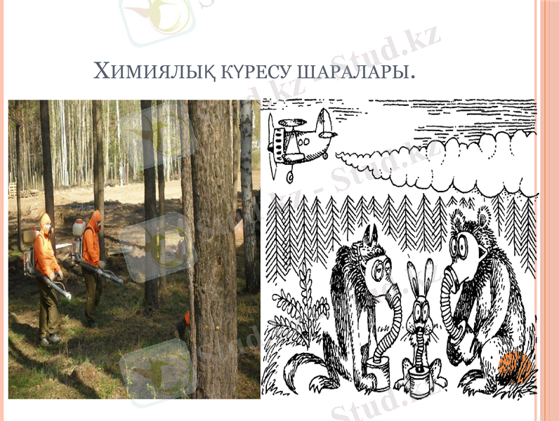 Slide 15