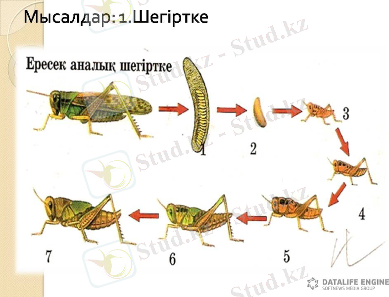 Slide 5