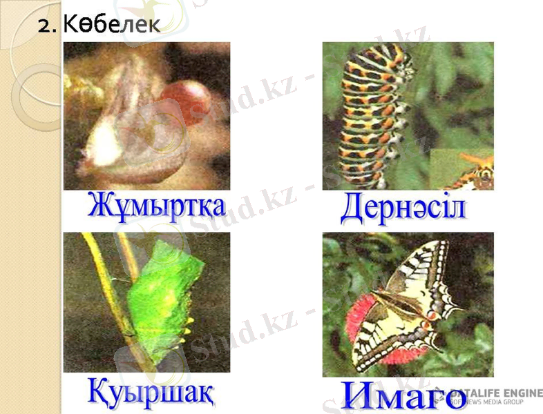 Slide 6