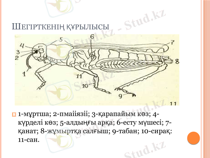 Slide 7