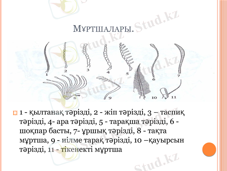 Slide 8