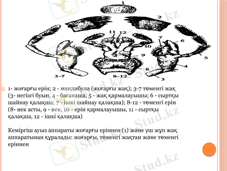 Slide 9