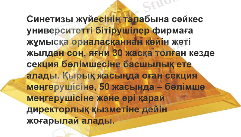 Slide 10