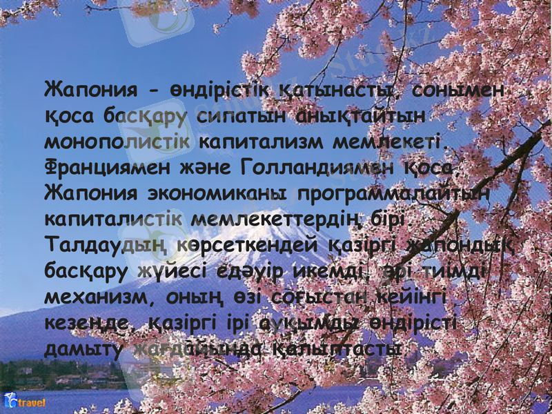 Slide 7