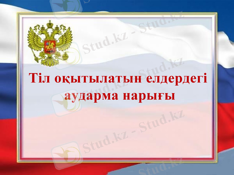 Slide 11