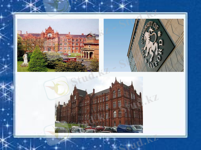 Slide 17