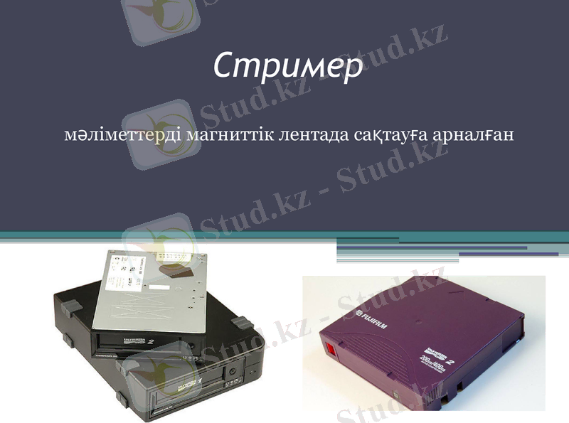 Slide 10