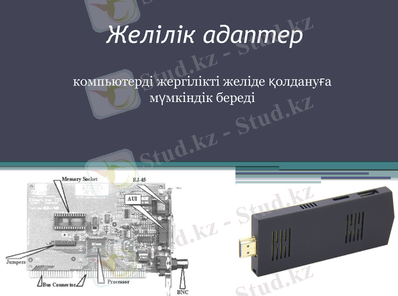 Slide 11
