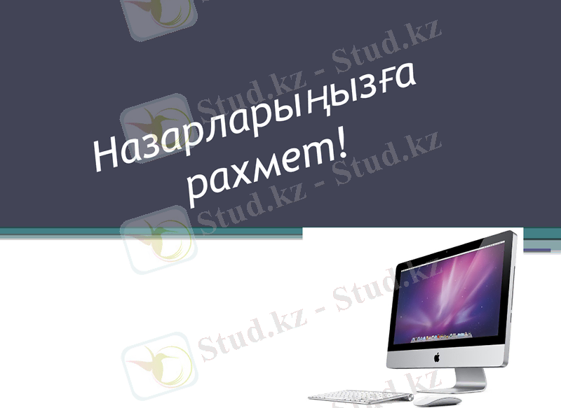 Slide 12