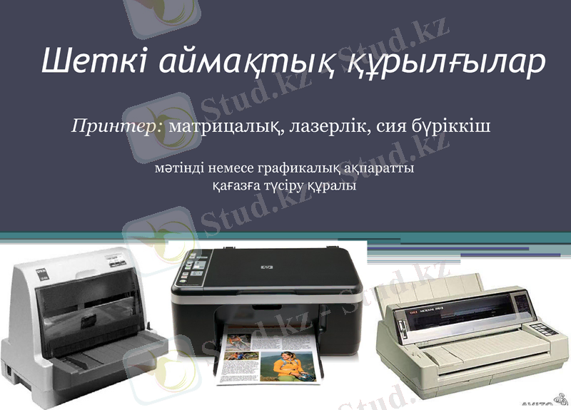 Slide 5