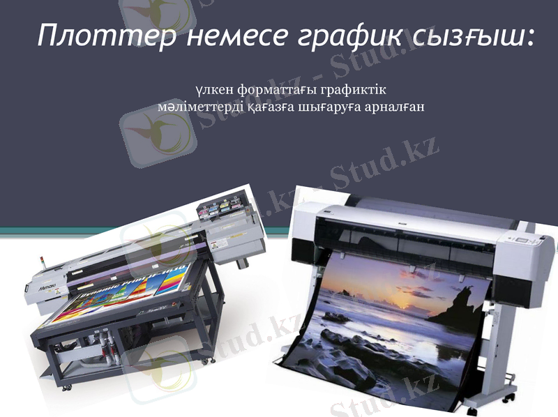 Slide 6