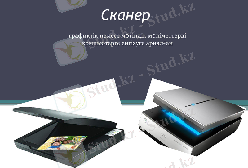 Slide 7