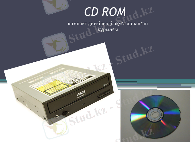 Slide 8