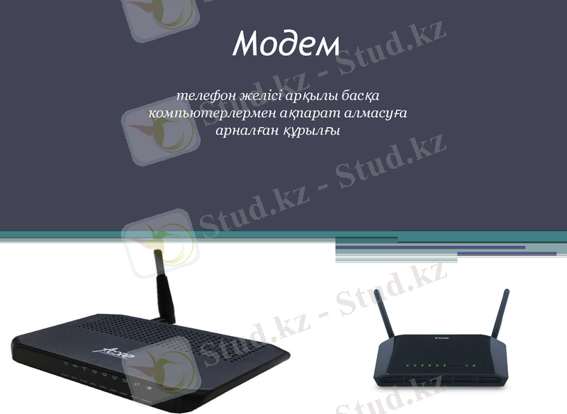 Slide 9