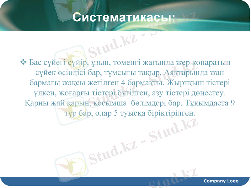 Slide 10