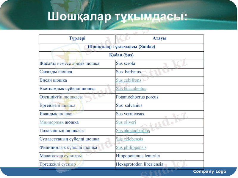 Slide 11