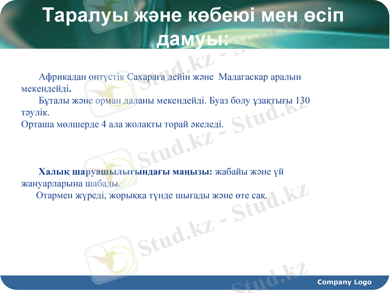 Slide 12