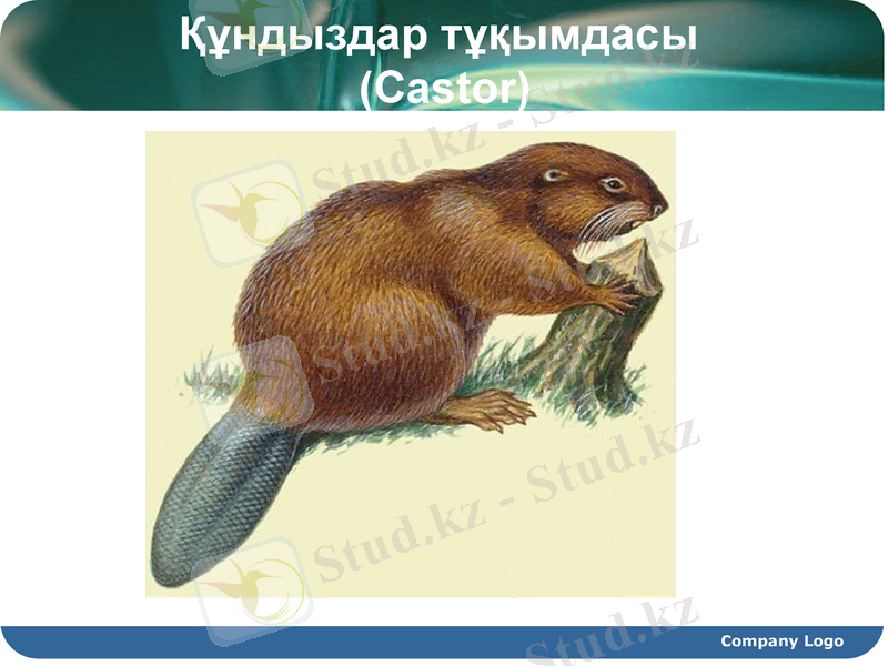 Slide 13