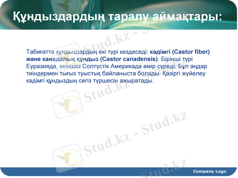 Slide 14