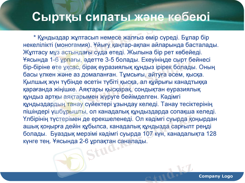 Slide 15