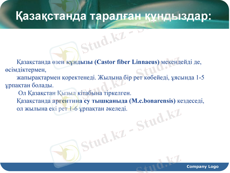 Slide 16