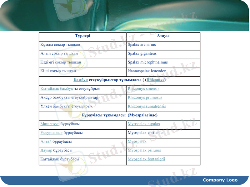 Slide 18