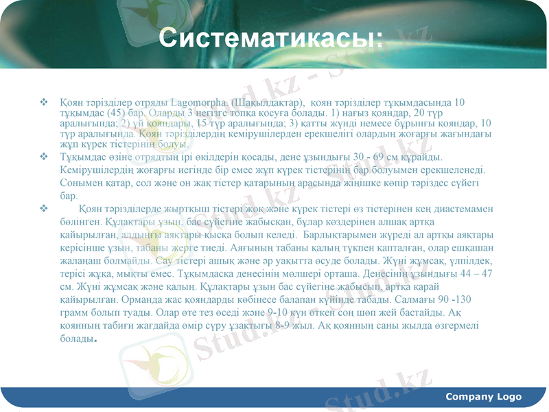 Slide 3