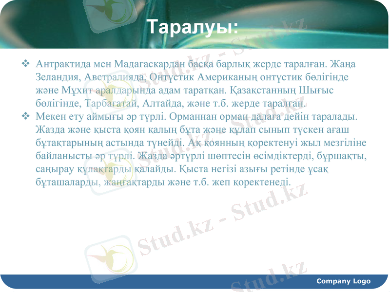 Slide 5