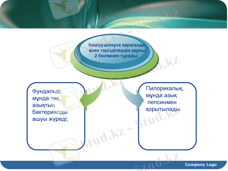 Slide 6
