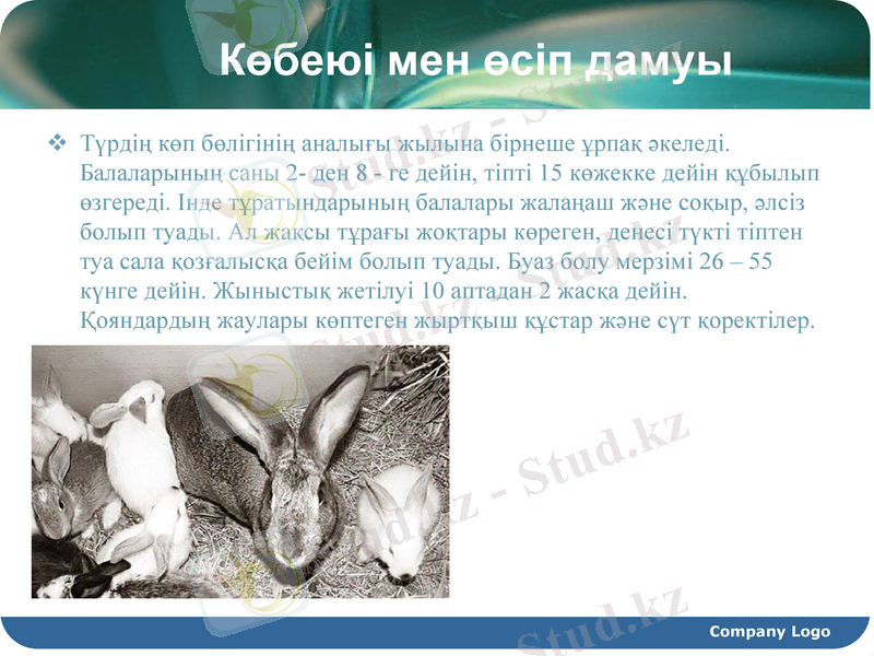 Slide 7