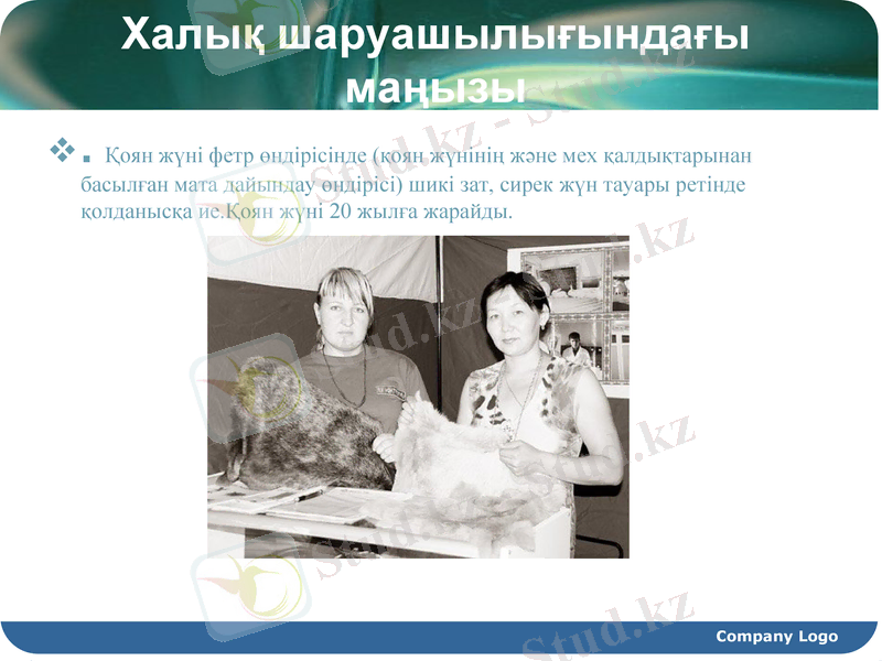 Slide 8