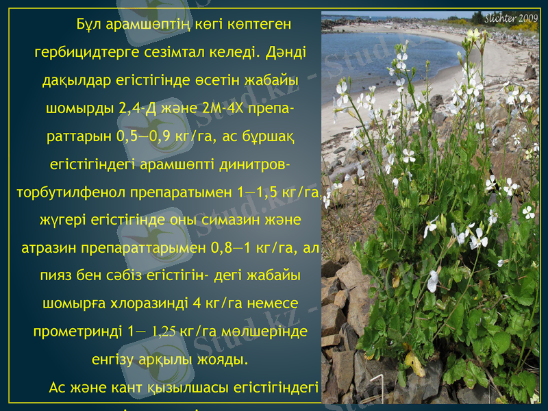 Slide 6