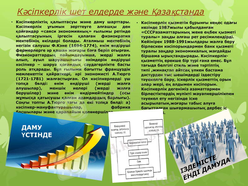 Slide 8