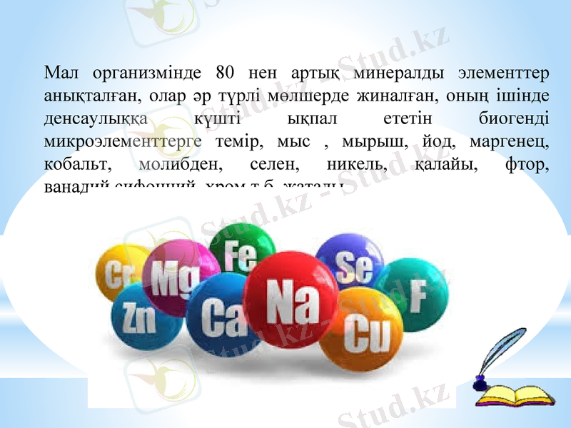 Slide 4