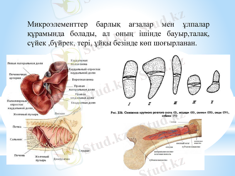 Slide 5