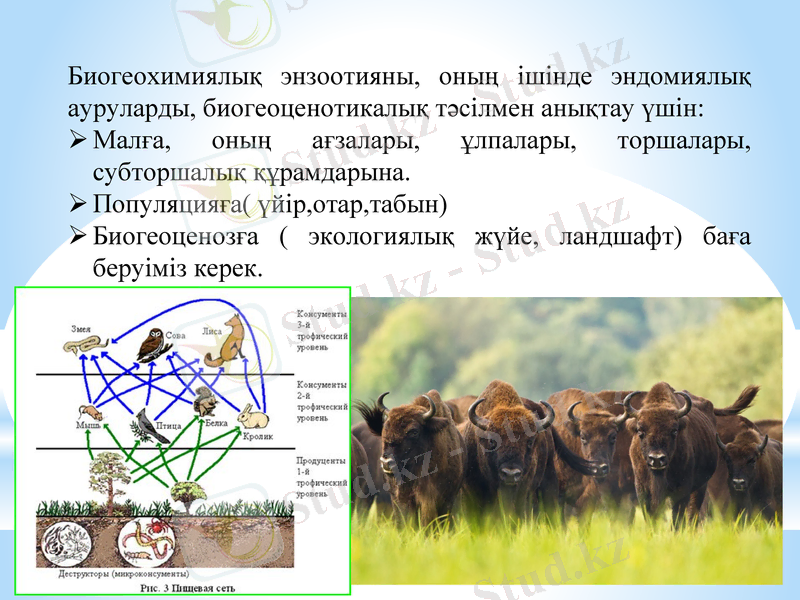 Slide 7