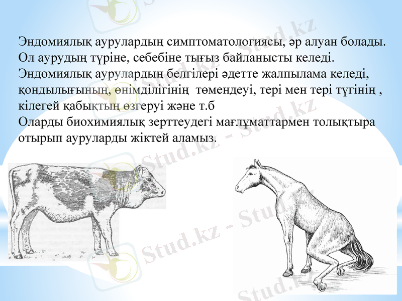 Slide 8