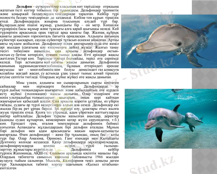 Slide 10