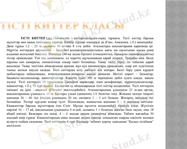 Slide 7