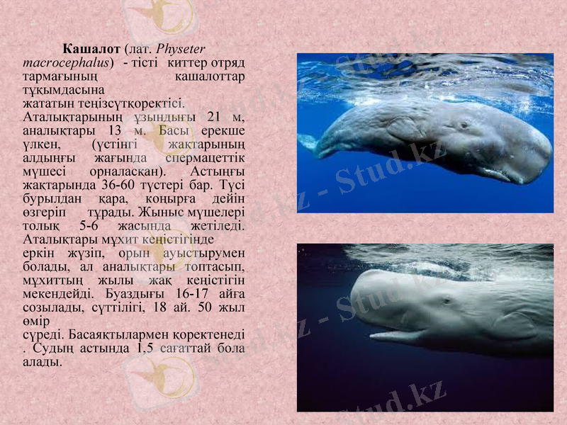 Slide 9