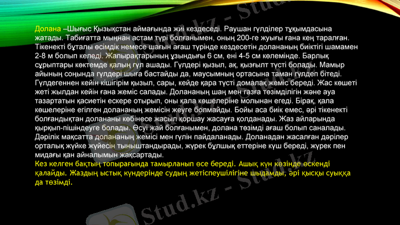 Slide 8