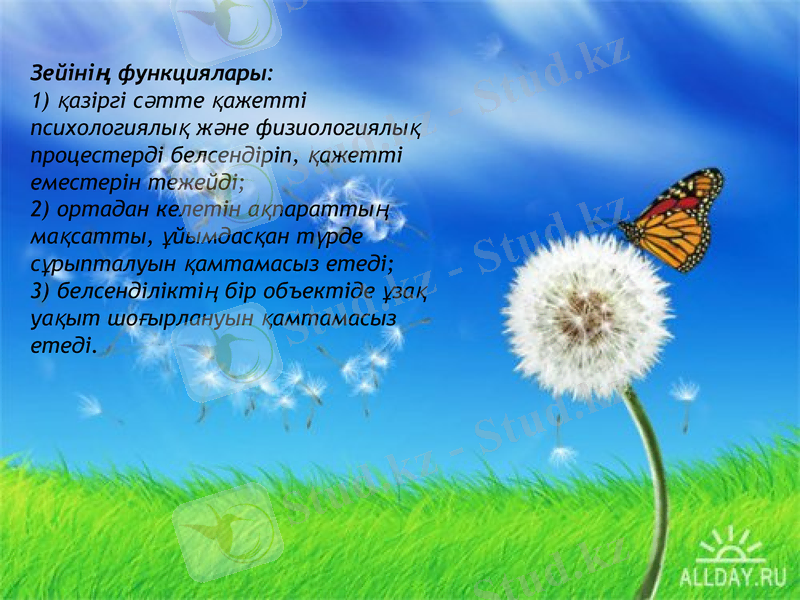 Slide 11