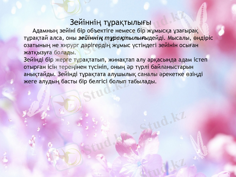 Slide 13