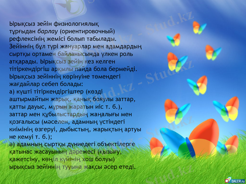 Slide 5
