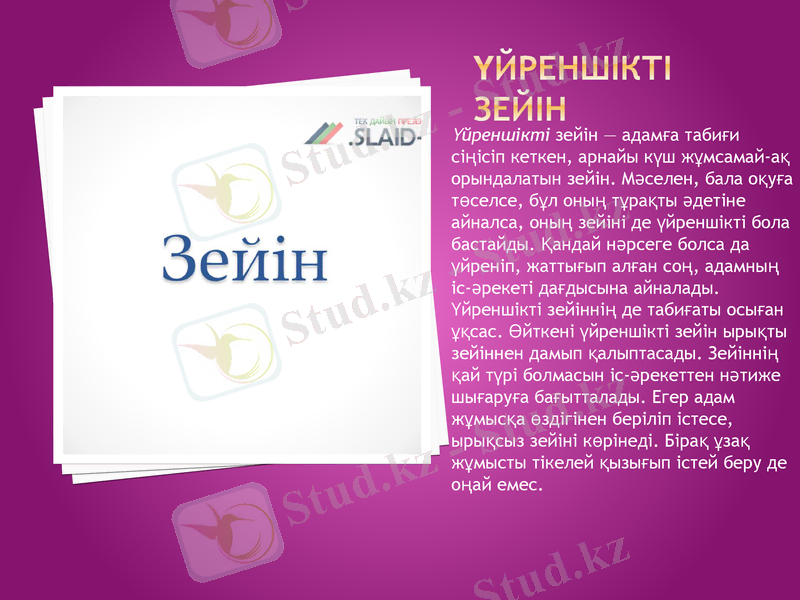 Slide 6